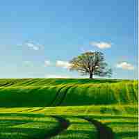 ai创‌写﻿作​